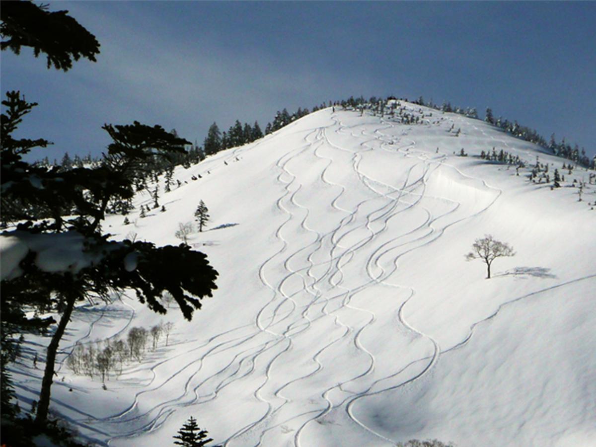 Kagura White Horse Inn Yuzawa  Luaran gambar